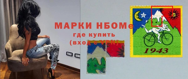 крисы Новозыбков
