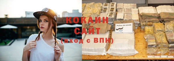 крисы Новозыбков