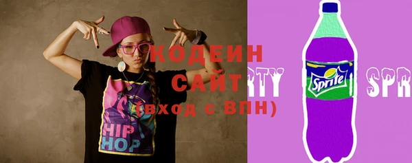 крисы Новозыбков