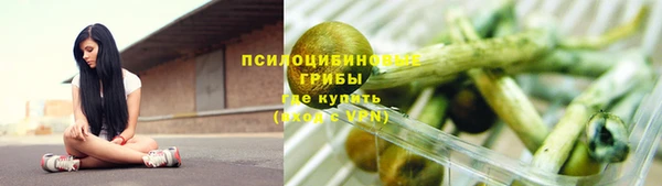 крисы Новозыбков