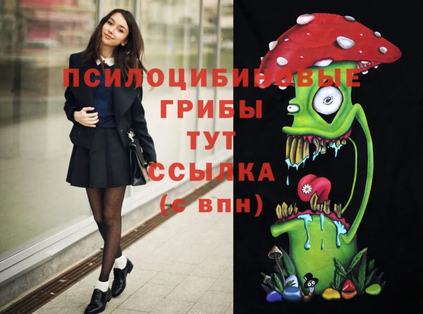 соль курить ск Новодвинск