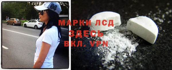 крисы Новозыбков