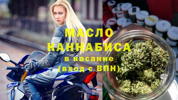 крисы Новозыбков