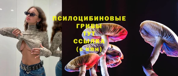 spice Новокубанск