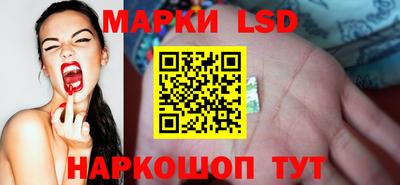 ALPHA PVP Гусев